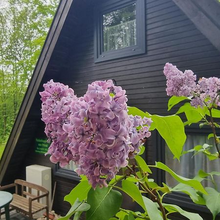 Ferienhaus Marie 125 باد آرولزن المظهر الخارجي الصورة
